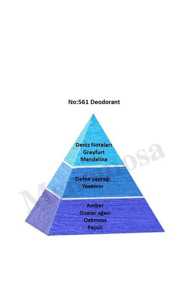 No:561 Erkek Fresh Deodorant 150ml - Mnms150no561deo - Resim 2