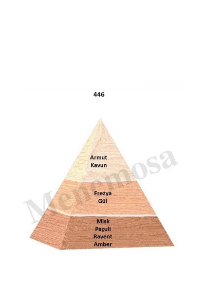 446 Kadın Parfüm Edp 50 ml Floral - Mnms50446 - Resim 2