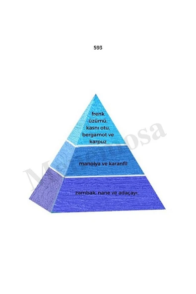 593 384 Erkek / Kadın Parfüm Edp 50 ml Fresh / Floral - Mnms50593384 - Resim 2