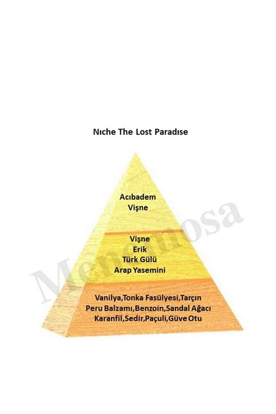 Niche Red The Lost Paradıse Unisex Extrait De Perfume 100 ml - Resim 3