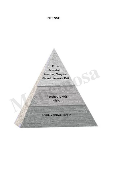 Intense Unisex Parfüm Edp 50 ml Exclusive - Mnms50int - Resim 2