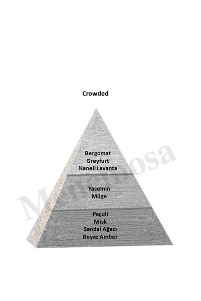 Crowded Erkek Parfüm Edp 50 ml Woody - Mnms50crwd - Resim 2