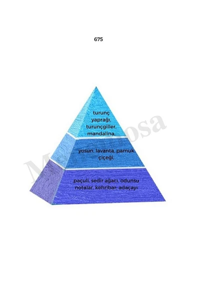 675 Erkek Parfüm Edp 50 ml Fresh - Mnms50675 - Resim 2