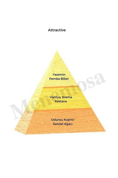Attractive Kadın Parfüm Edp 50 ml - Mnms50atv - Resim 2