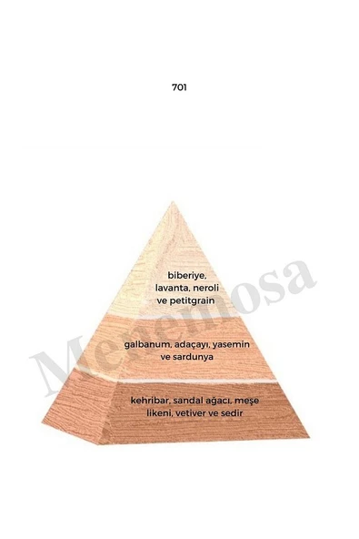 701 Erkek Parfüm Edp 50 ml Floral Mnms50701 - Mnms50701 - Resim 2