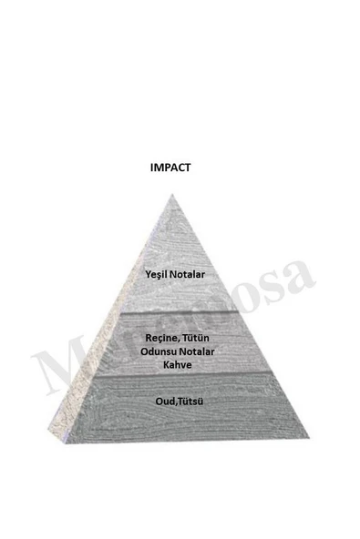 Impact Unisex Parfüm Edp 50 ml Exclusive - 68189800050edpımp - Resim 2