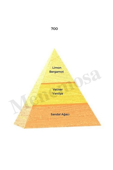700 Erkek Parfüm Edp 50 ml Oriental - Mnms50700 - Resim 2