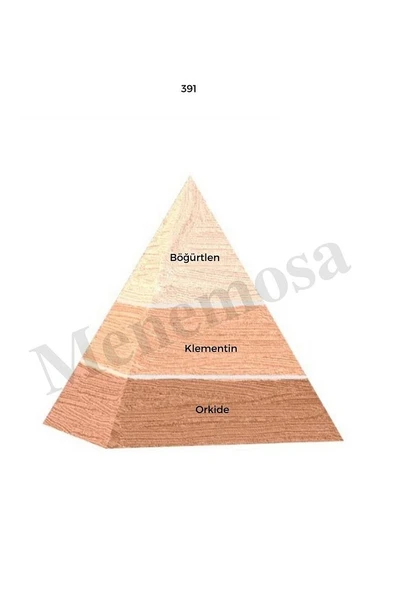 391 Kadın Parfüm Edp 50 ml Floral - Mnms50391 - Resim 2