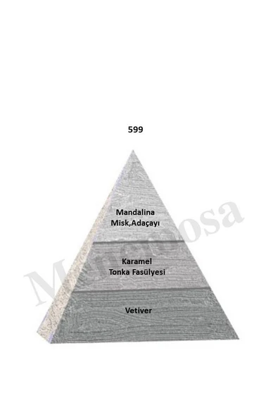 599 Erkek Parfüm Edp 50 ml Woody - Mnms50599 - Resim 2