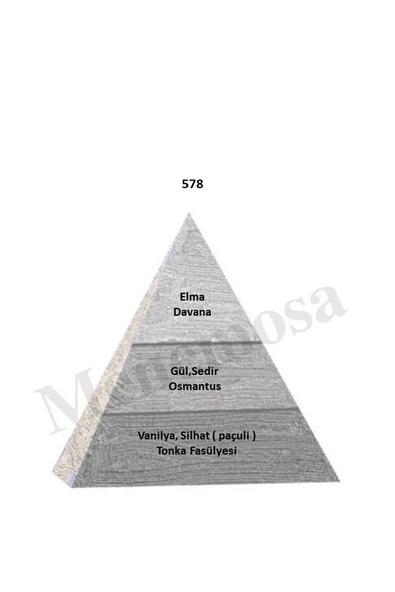578 Erkek Parfüm Edp 50 ml Woody - Mnms50578 - Resim 2