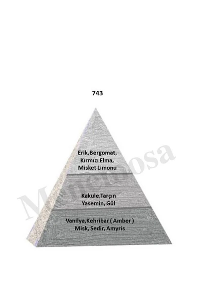 743 Erkek Parfüm Edp 50 ml Woody - Mnms50743 - Resim 2