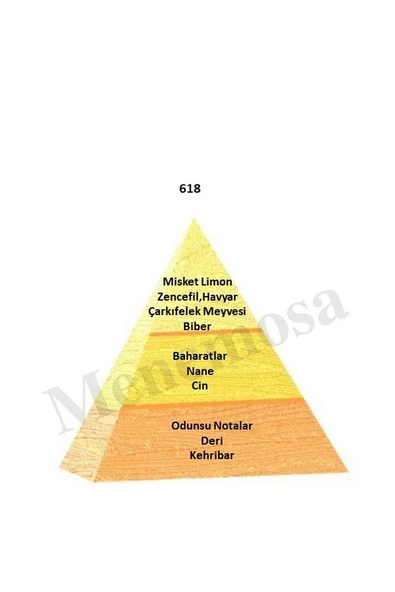 618 Erkek Parfüm 50 ml Edp Oriental - Mnms50618 - Resim 2