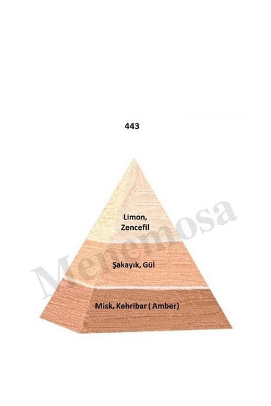 443 Parfüm edp 50 ml Floral - Resim 2