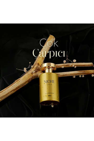 Niche Gold Saffran Unisex Extrait De Perfume 100 ml - Mnms100saffran - Resim 4