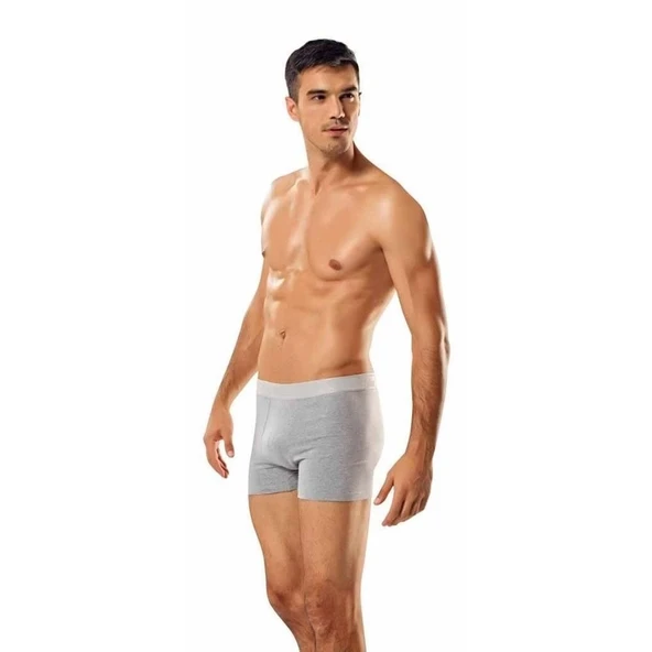 0114 Erkek Licralı Penye Boxer ürün görseli 1