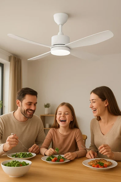 helios 3 kanatlı tavan vantilatörü ürün görseli 1