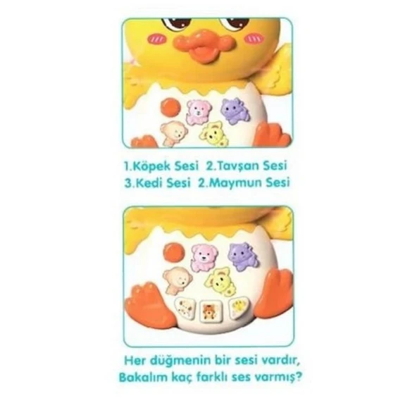 855-144A - ÖRDEK ORG IŞIKLI SESLİ - 3