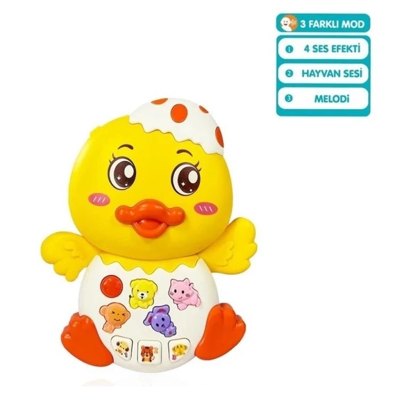 855-144A - ÖRDEK ORG IŞIKLI SESLİ - 2