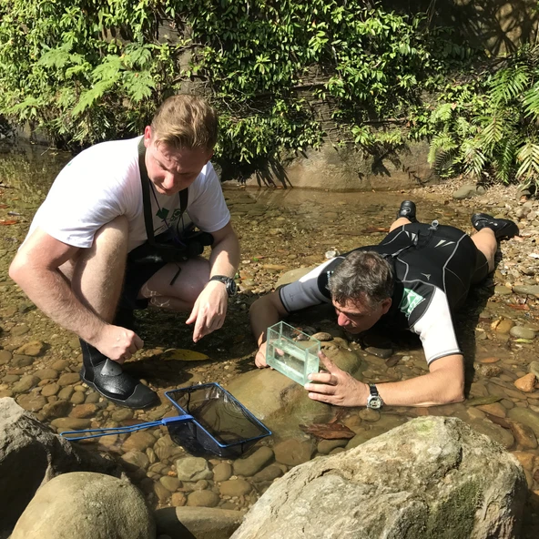 Jbl Premium Kepçe 25 Cm - 3