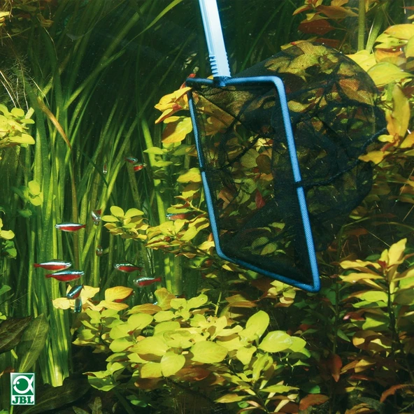 Jbl Premium Kepçe 8 Cm ürün görseli