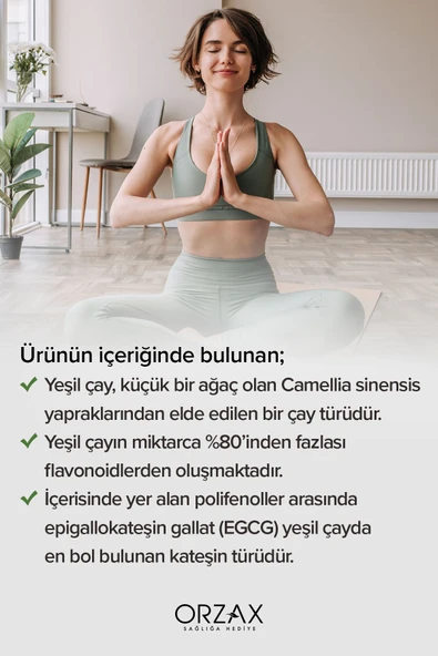 OCEAN Green Tea 500mg 60 Kapsül - Yeşil Çay 8697595872949 - 4