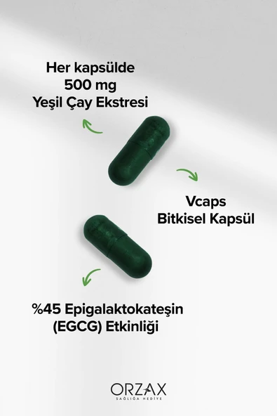 OCEAN Green Tea 500mg 60 Kapsül - Yeşil Çay 8697595872949 - 3
