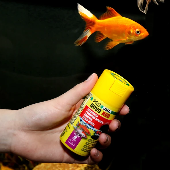 Jbl Pronovo Red Grano M 100ml Clıck - Resim 3