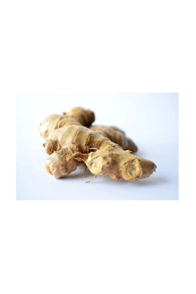 MARVİS Ginger Mint 85ml - 4