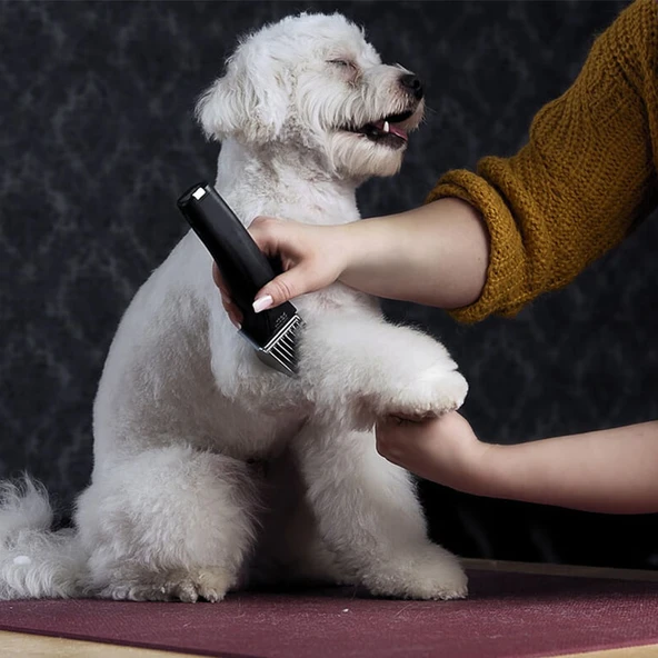 Wahl Arko Pro Makine - 4