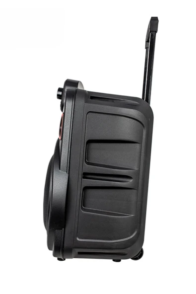 Acl Acs-2 30W Taşınabilir TWS Kablosuz PartyBox Hoparlör | RGB Işık, Bluetooth, Kumanda ve Mikrofon Destekli - 6