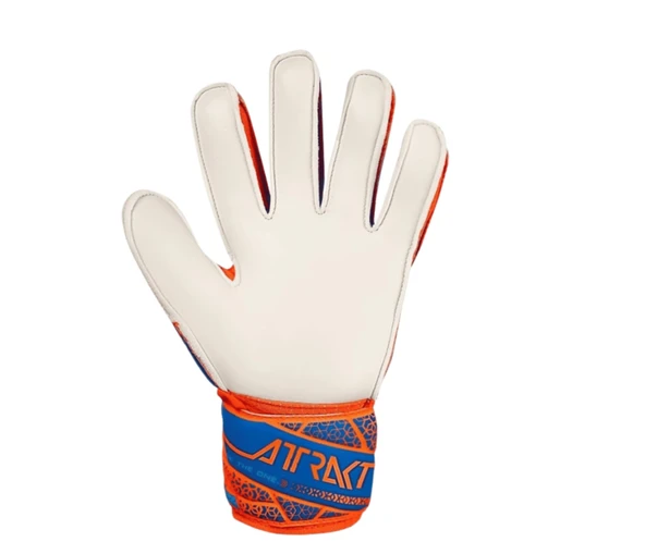 Reusch Attrakt Solid Kaleci Eldiveni 5570515-2290 - 3