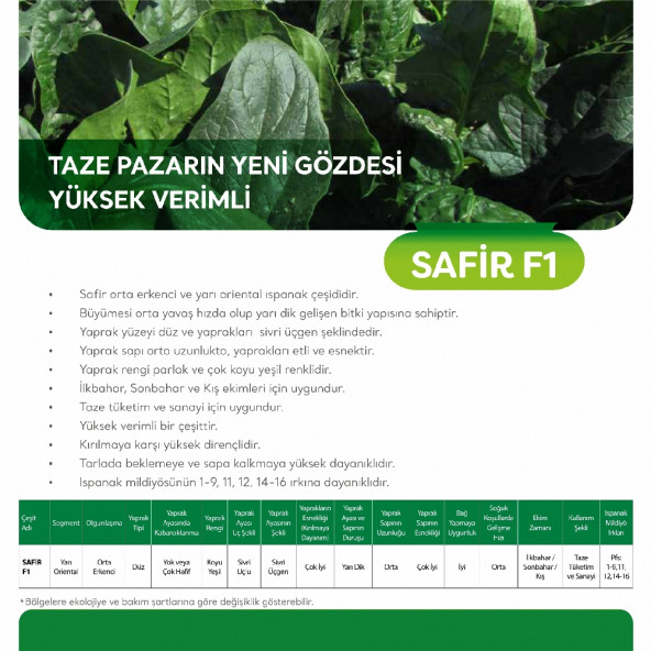 May Safir F1 Ispanak Tohumu 5 Kg - 5