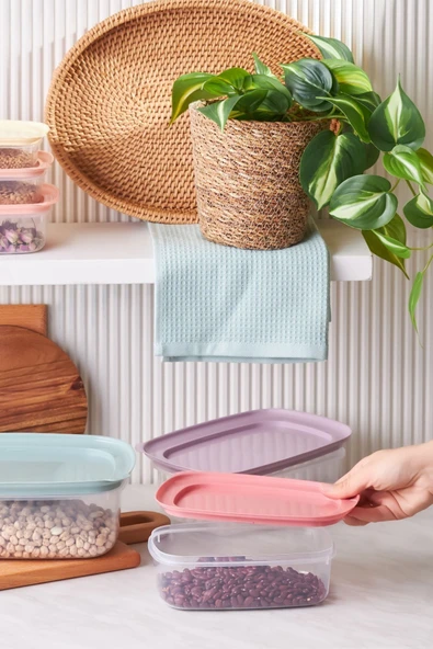 Vicks Light 6'lı Saklama Kabı - 3