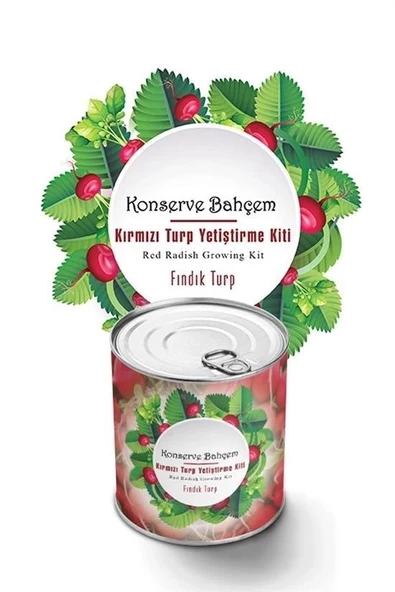 BUFFER® Konserve Bahçem Evde Konservede Fındık Turp Yetiştirme Kiti - Resim 2