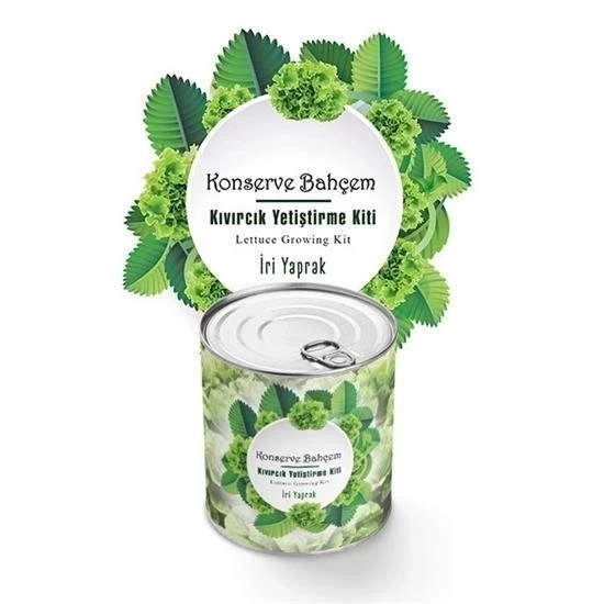 BUFFER® Konserve Bahçem Evde Konservede İri Yapraklı Kıvırcık Yetiştirme Kiti ürün görseli 1