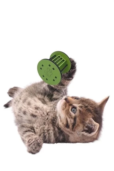 BUFFER®  Mini Silindir Eğlenceli Renkli Sağlam Küçük Pati İzi Şekilli Kedi Oyuncağı - Resim 8