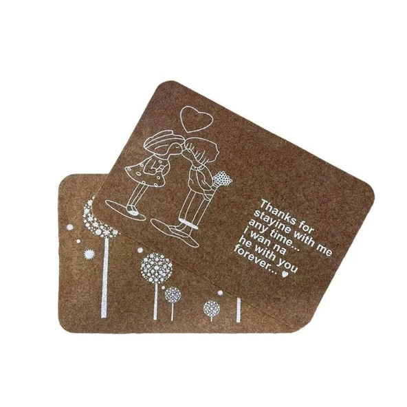 Süper Emici Kapı Paspası ürün görseli 1