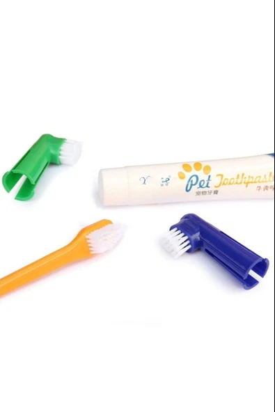 Köpek Ağız Bakım Seti - Resim 5
