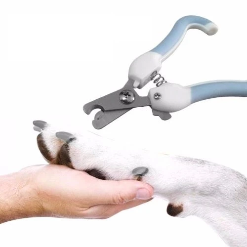 Evcil Hayvan Tırnak Makası - Resim 4