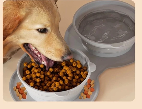 Mikopet Katlanabilir İkili Mama ve Su Kabı - Resim 4