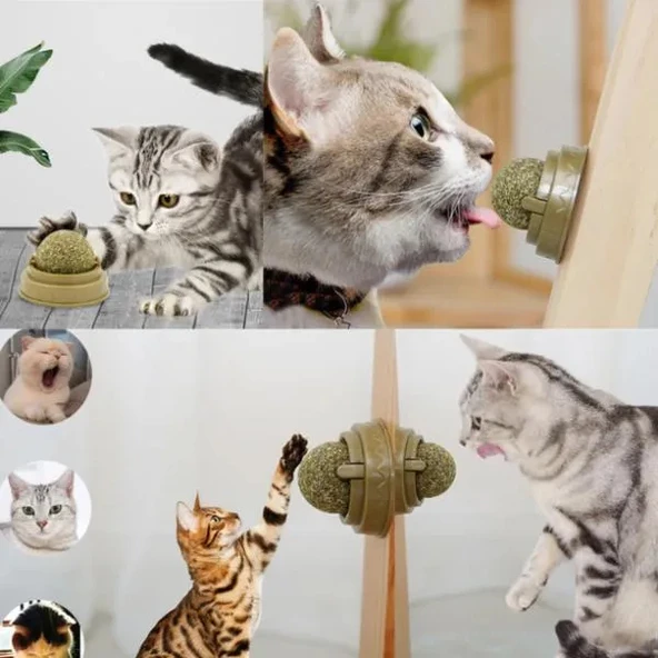 Kedi Nanesi Oyun Topu ürün görseli 1