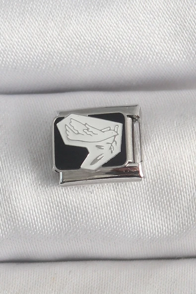 316L Çelik Gümüş Renk Siyah Beyaz Kuş İşlemeli Nomination Charm - TJ-BC1389 ürün görseli