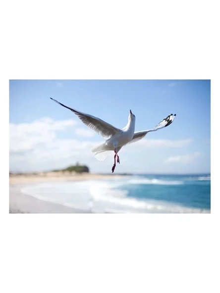 Exelon 6V4Ah 20hr Regulated Rechargeable Battery 6 Volt 4 Amper Akü Bakımsız Kuru Tip Akü 6v 4ah Akü - Resim 3