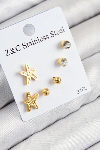 316L Çelik Zirkon Taşlı Deniz Yıldızı Model Gümüş Renk Kadın Set Küpe - TJ-BKP11120 ürün görseli