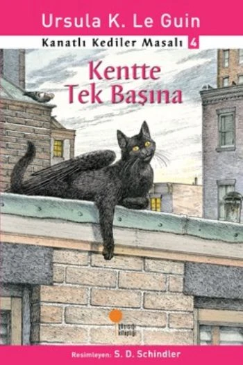 Kanatlı Kediler Masalı 4 - Kentte Tek Başına - 1