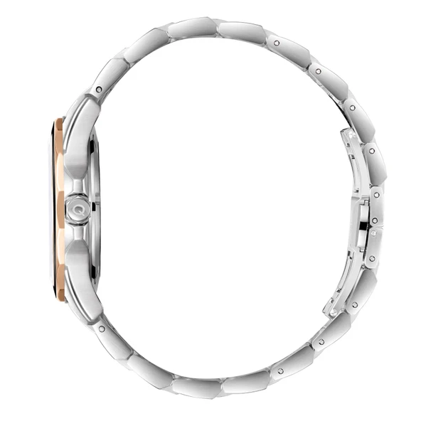 Quantum Adg1211.570 Erkek Kol Saati - Resim 5