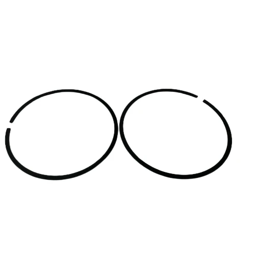 Gazlı Çivi Çakma Tabancası Segmanı 15mm-40mm ürün görseli 1