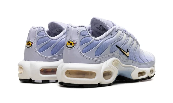 Nike Air Max Plus Daybreak - 4