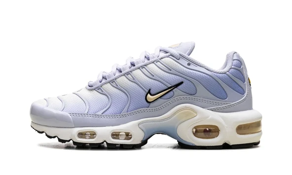 Nike Air Max Plus Daybreak - 1