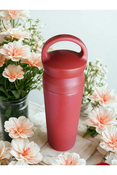 Blissra Filtreli Çelik Termos– Paslanmaz Çelik, Vakumlu Sızdırmaz Kapaklı, Sıcak Soğuk Çay ve Detox Matara - 3